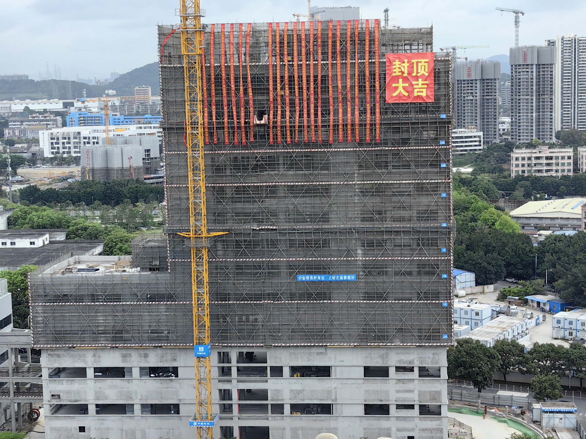 1684204936597896.jpg 5.jpg