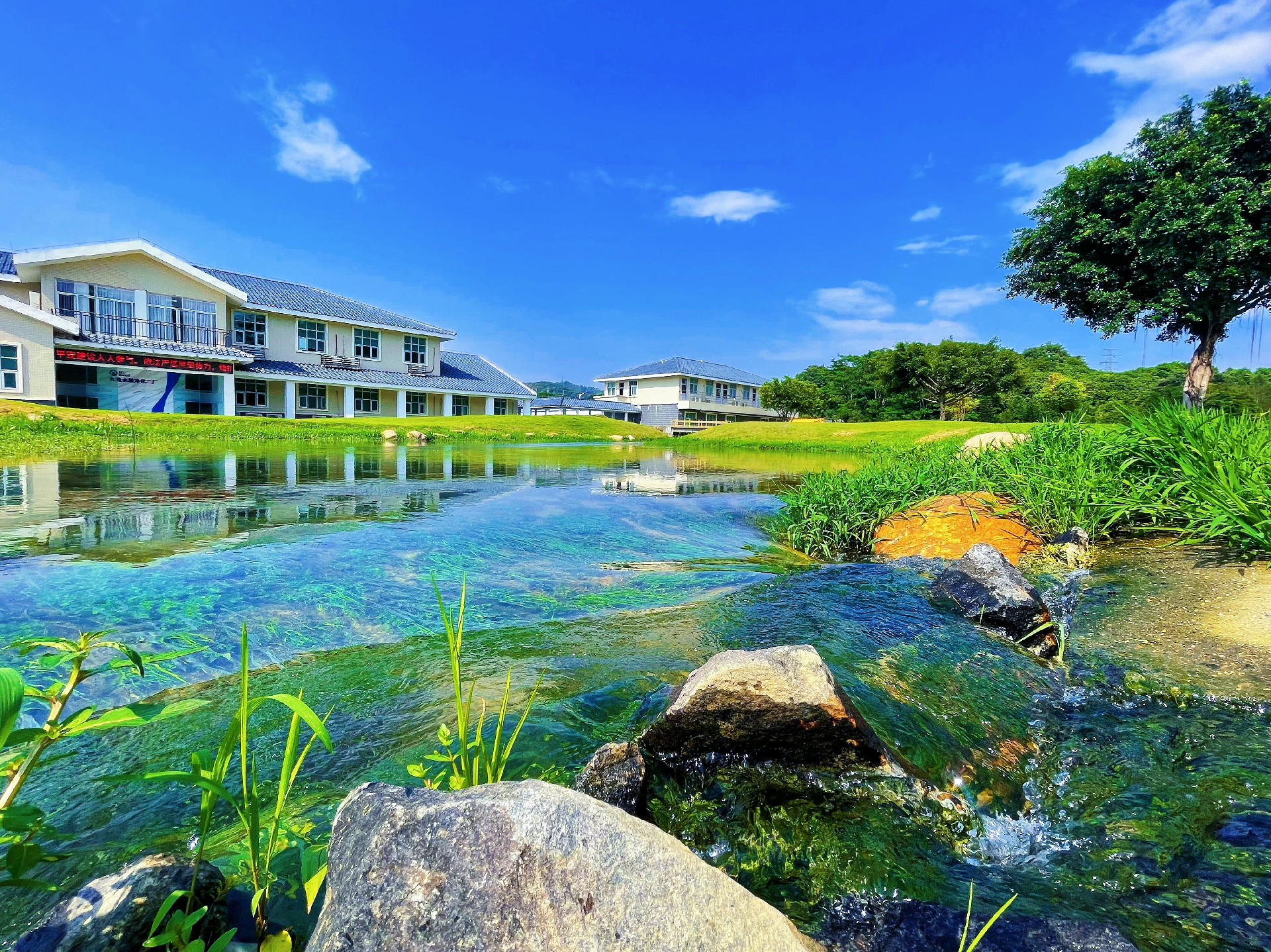 1711413806192678.jpg 2.jpg