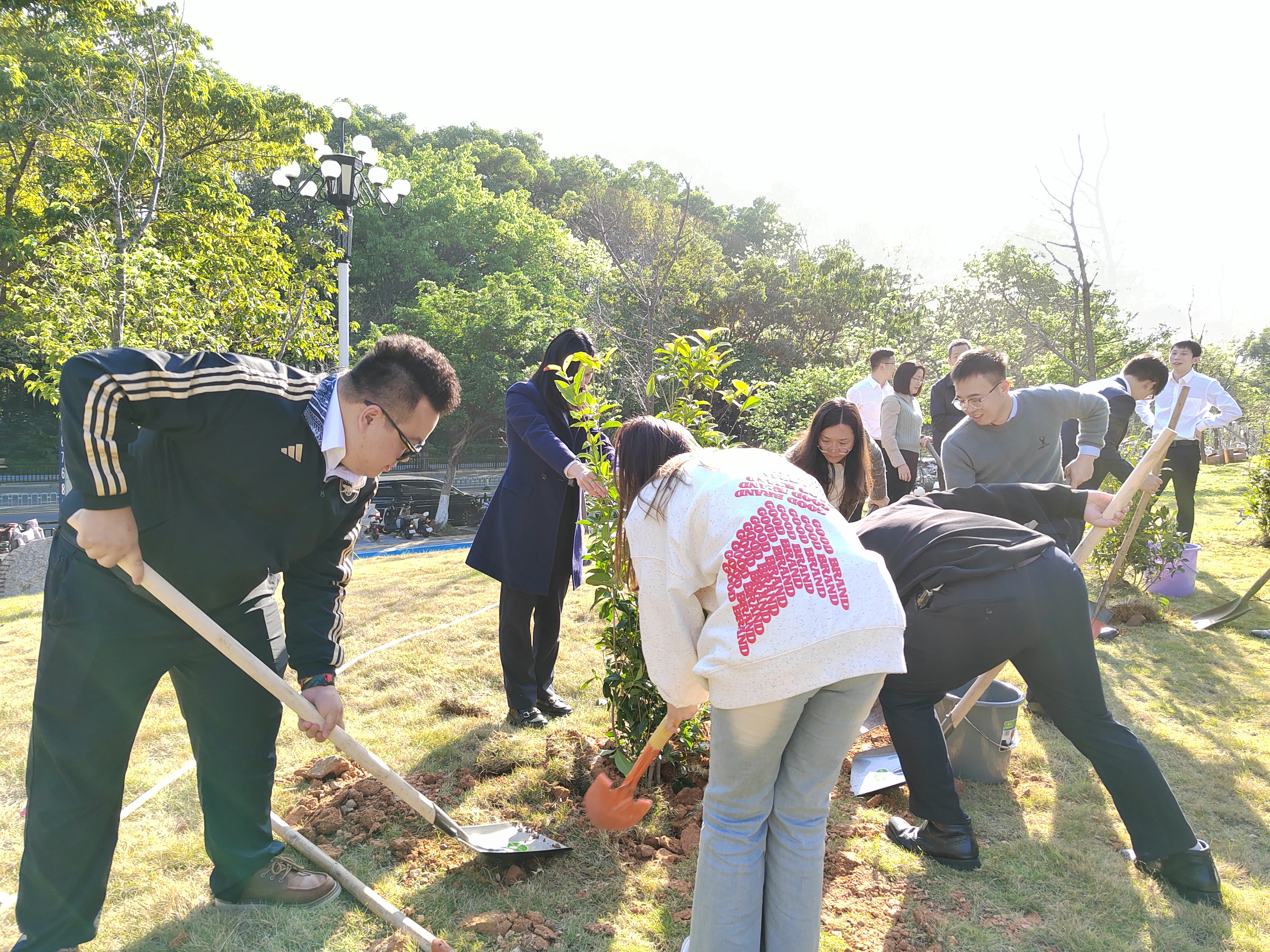 1713005545114008.jpeg 1-4 科乐公司植树.jpeg