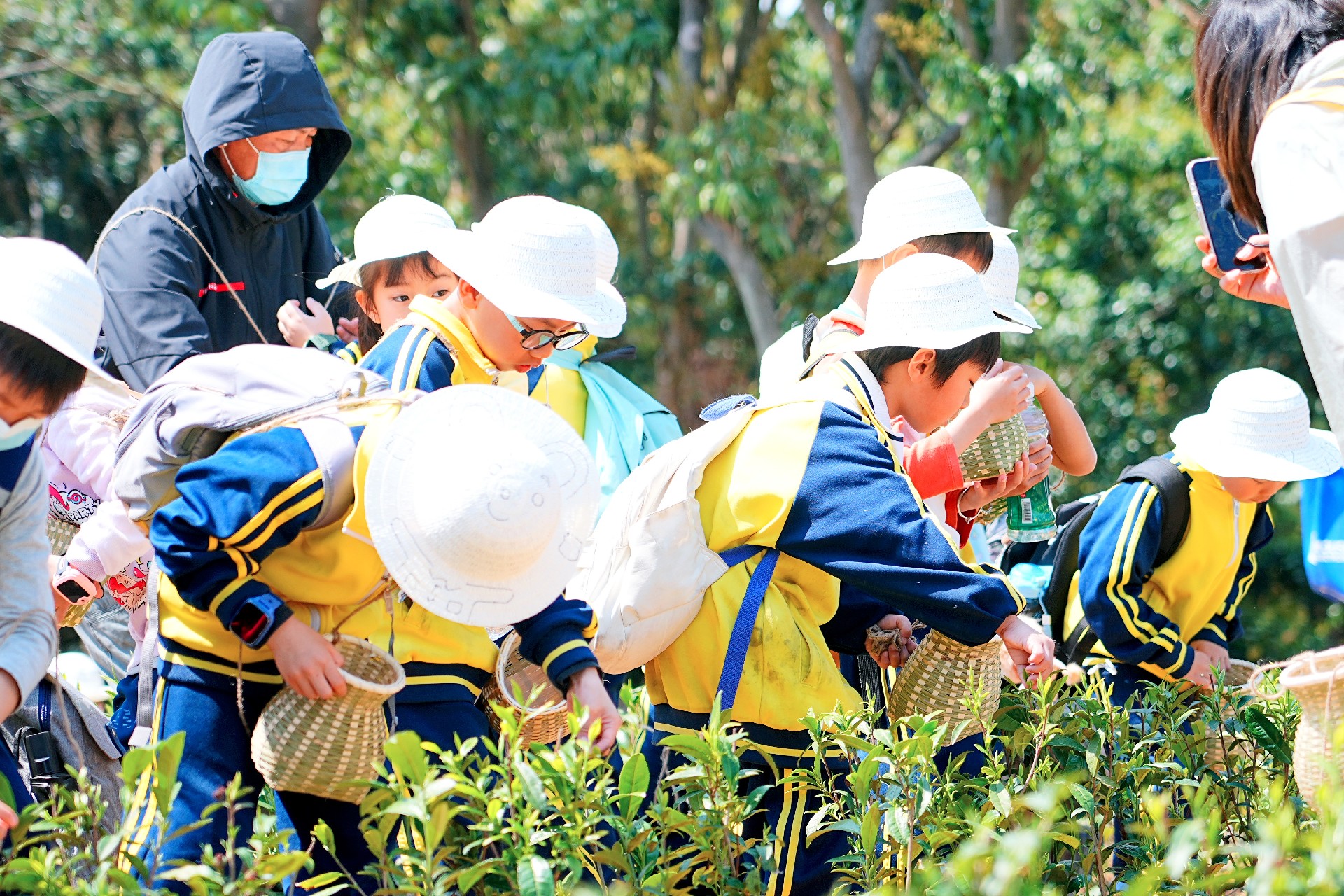 1742873188208128.jpg 29bf07bac63b3185aac57a50fee623b.jpg