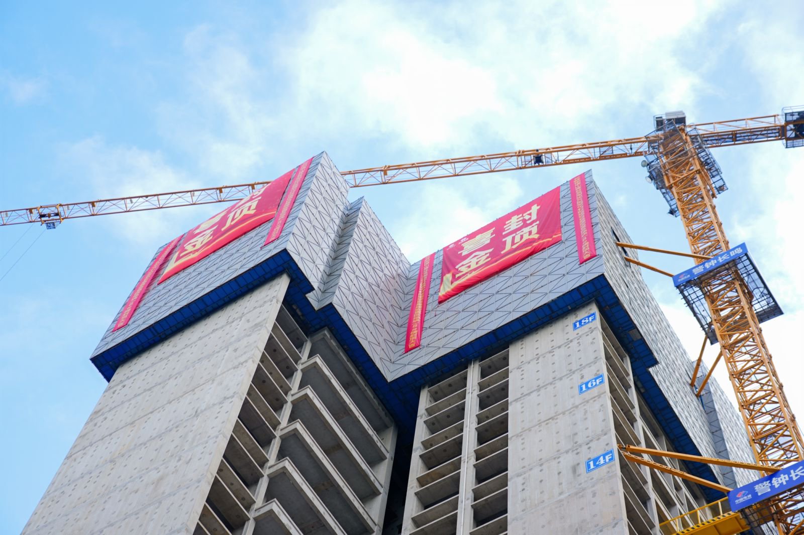 1762738014699237.jpg 喜封金顶.jpg